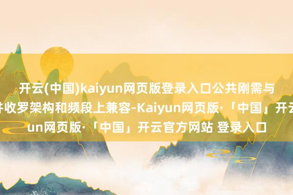 开云(中国)kaiyun网页版登录入口公共刚需与小众需求难以在吞并收罗架构和频段上兼容-Kaiyun网页版·「中国」开云官方网站 登录入口