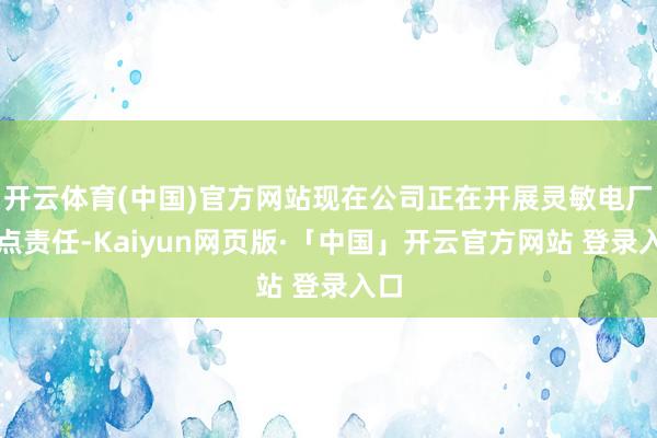 开云体育(中国)官方网站现在公司正在开展灵敏电厂试点责任-Kaiyun网页版·「中国」开云官方网站 登录入口